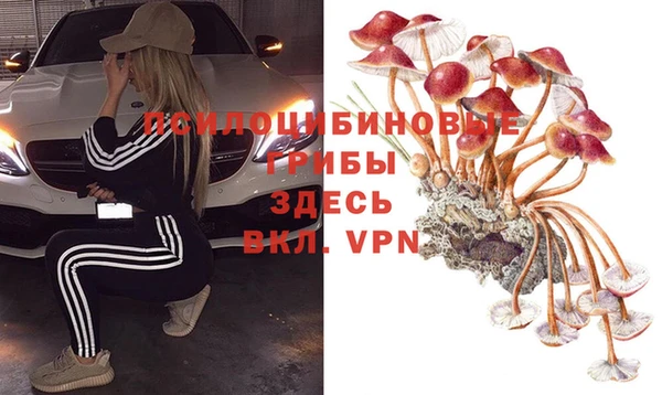 PSILOCYBIN Нягань