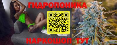 спиды Бийск