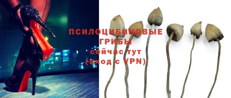 Псилоцибиновые грибы Magic Shrooms  Мирный 