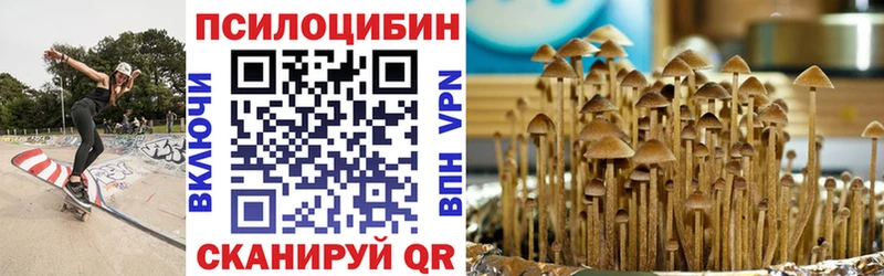 купить наркотик  Мирный  Псилоцибиновые грибы ЛСД 