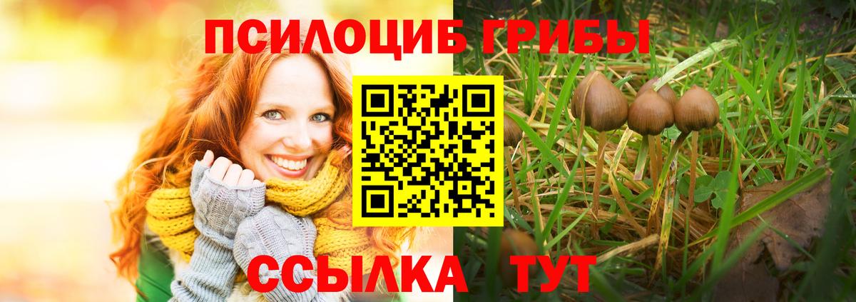 Мирный  наркотики  Вход с VPN  Галлюциногенные грибы мицелий 